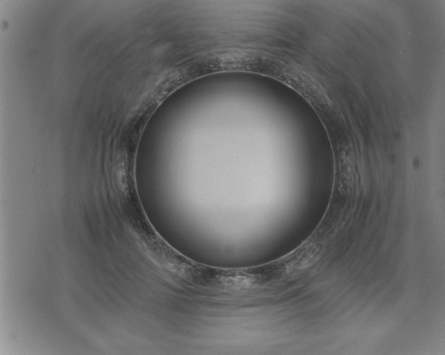 X0000075840698200609221705