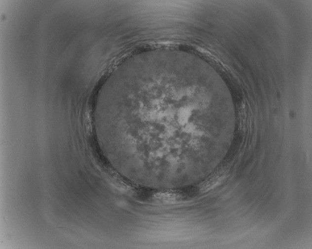 X0000075840699200609221705