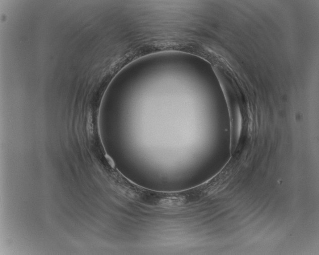 X0000075840700200609221705