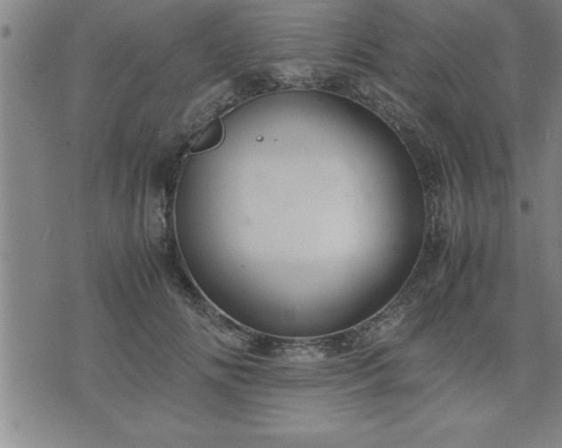 X0000075840702200609221705