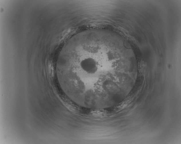 X0000075840703200609221705