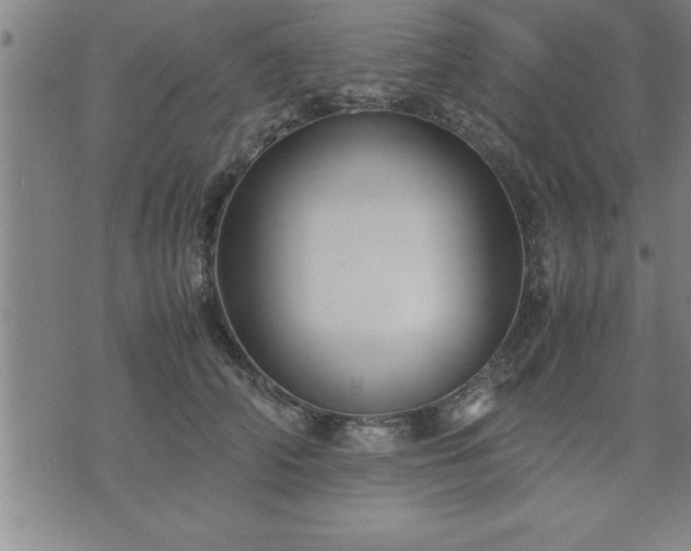 X0000075840706200609221705