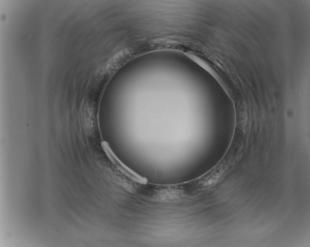 X0000075840708200609221705