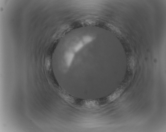 X0000075840709200609221705