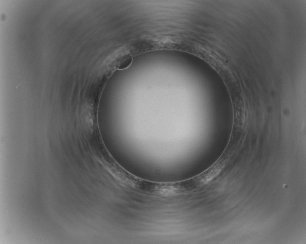 X0000075840710200609221705