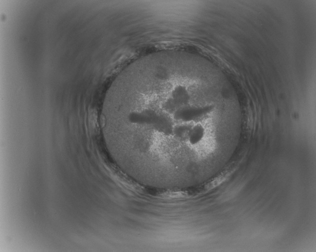 X0000075840711200609221705