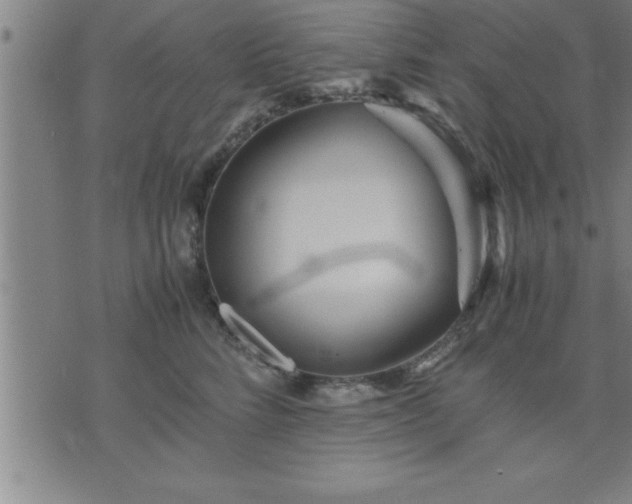 X0000075840712200609221705