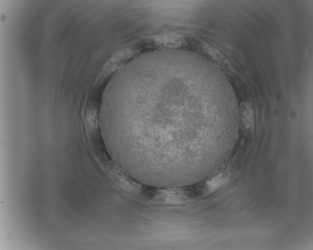 X0000075840713200609221705