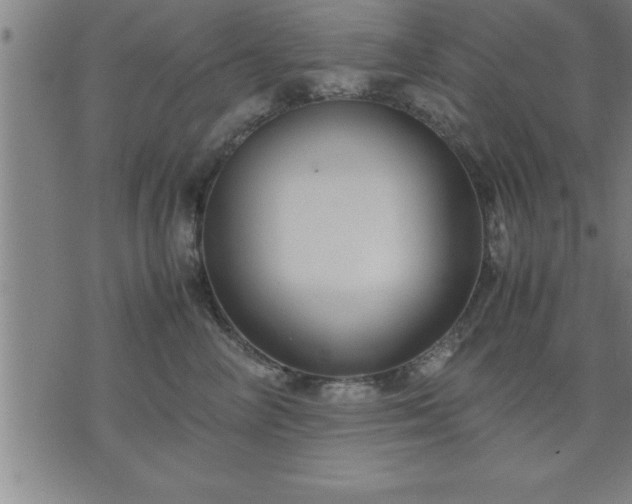 X0000075840714200609221705