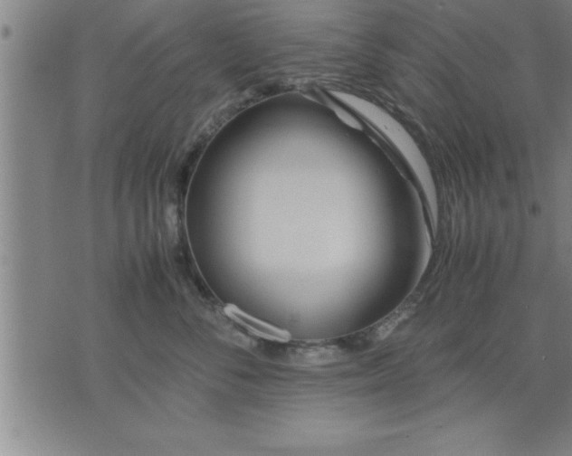 X0000075840716200609221705