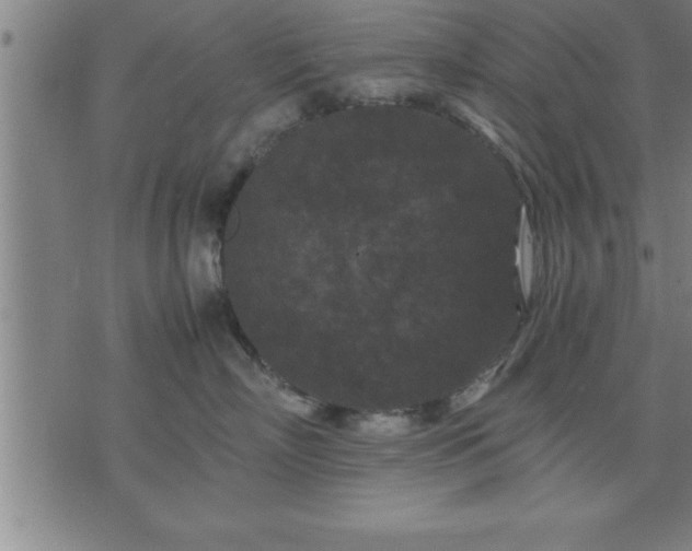 X0000075840718200609221705