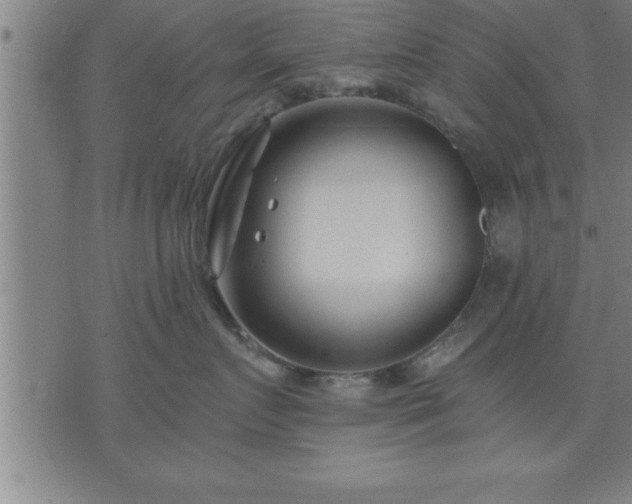 X0000075840719200609221705