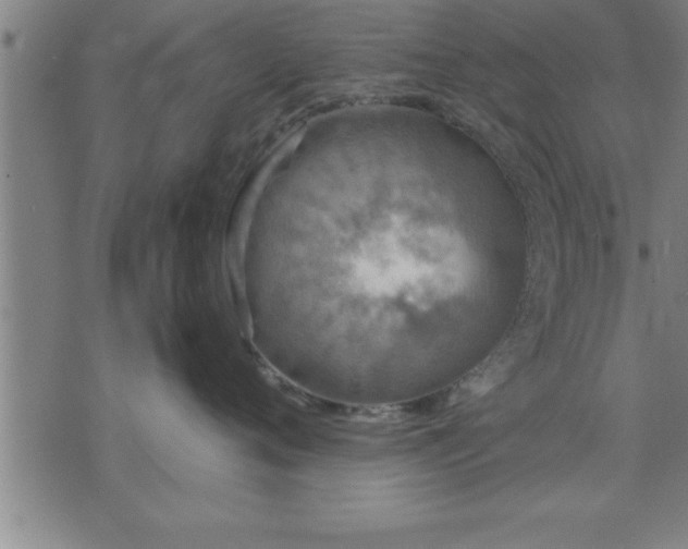 X0000075840720200609221705