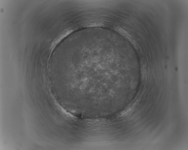 X0000075840721200609221704