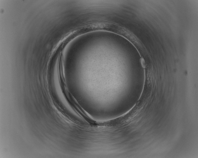 X0000075840722200609221704