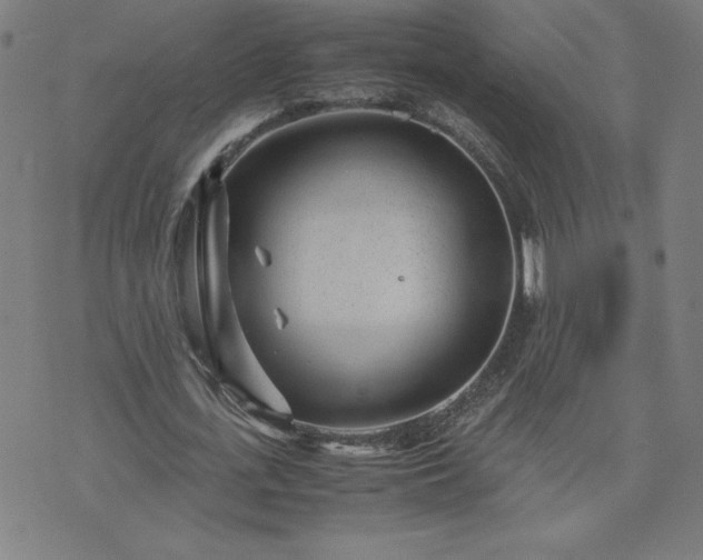 X0000075840723200609221704