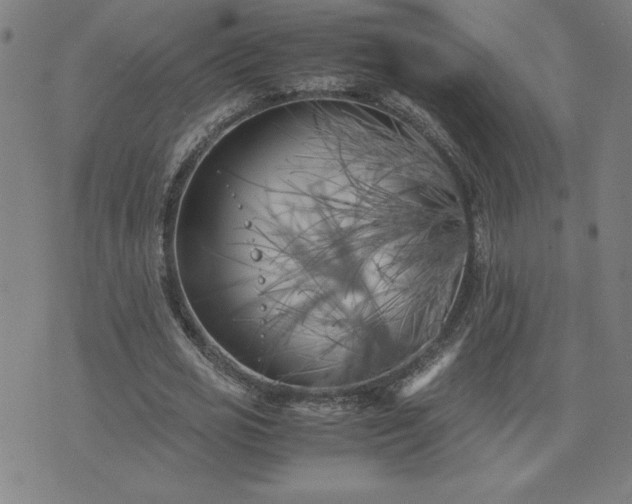 X0000075840725200609221704