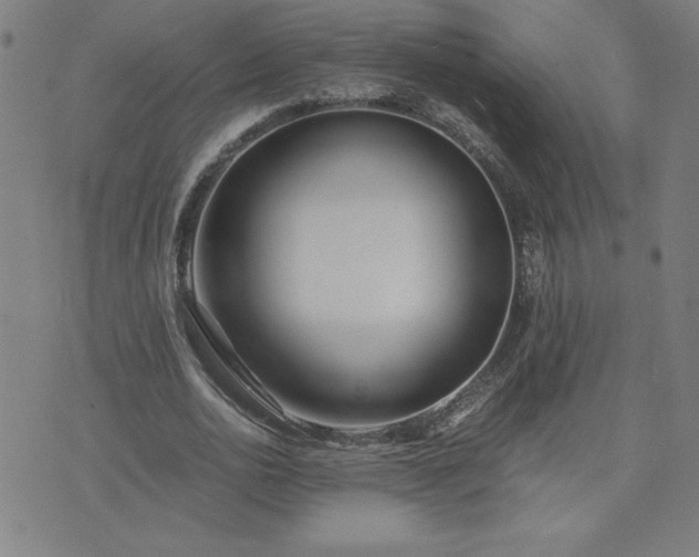 X0000075840726200609221704