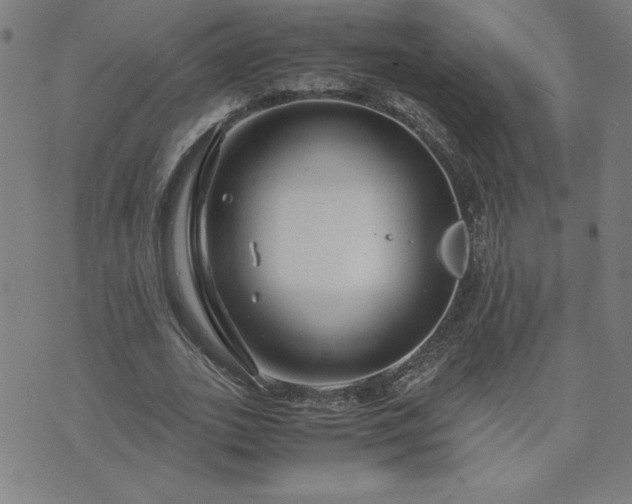 X0000075840727200609221704