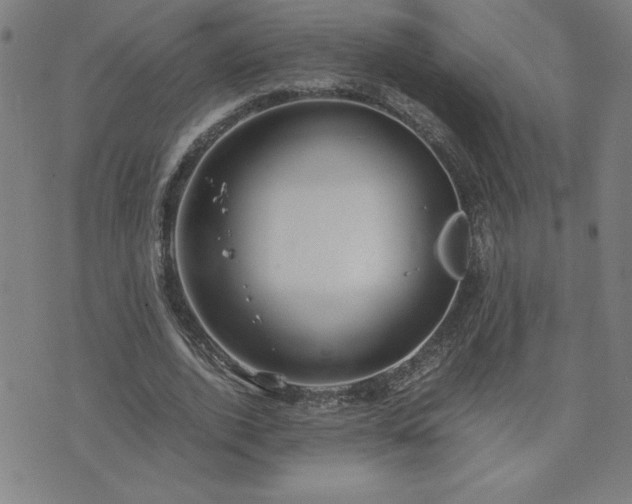 X0000075840728200609221704