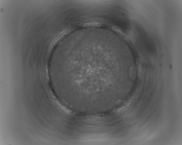 X0000075840729200609221704