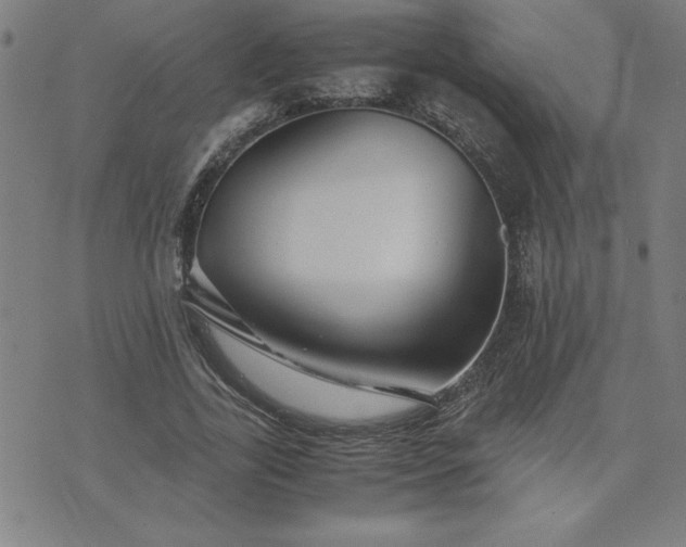 X0000075840731200609221704