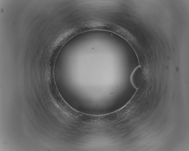 X0000075840732200609221704