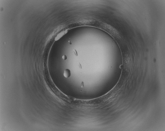 X0000075840734200609221704