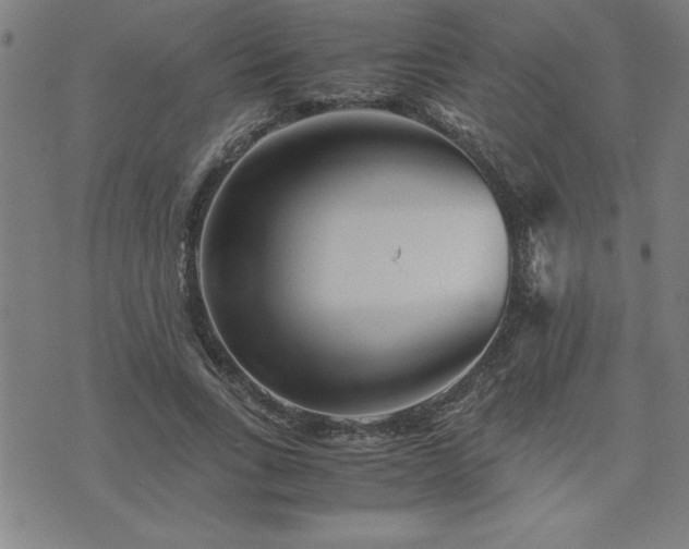 X0000075840735200609221704