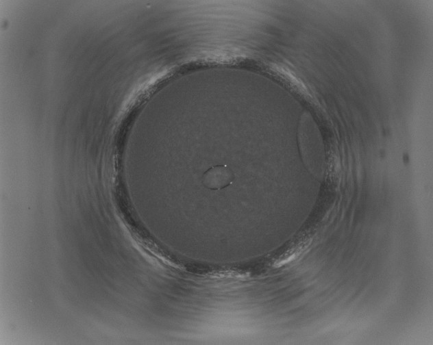 X0000075840736200609221704