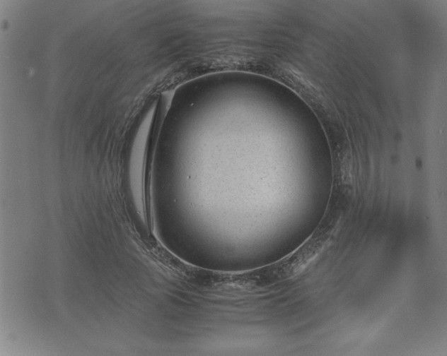 X0000075840737200609221704