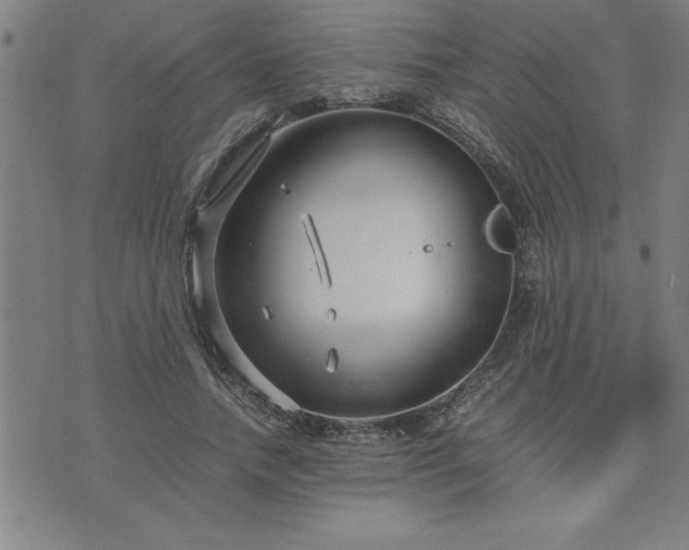 X0000075840738200609221704