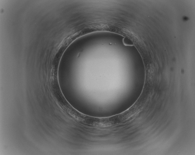 X0000075840739200609221704