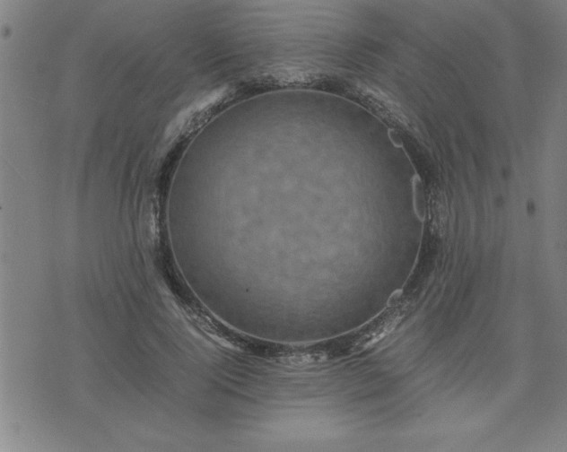 X0000075840740200609221704