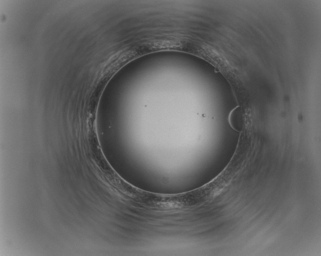 X0000075840741200609221704