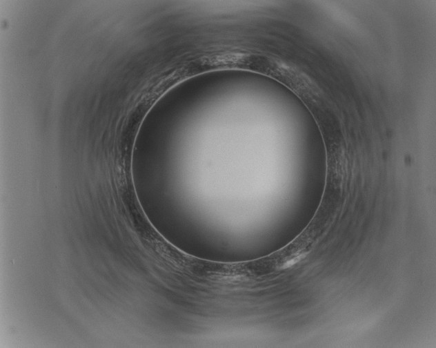 X0000075840743200609221704