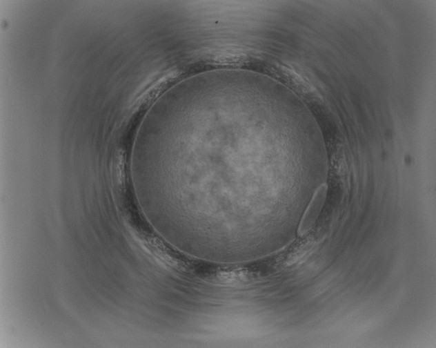 X0000075840744200609221704