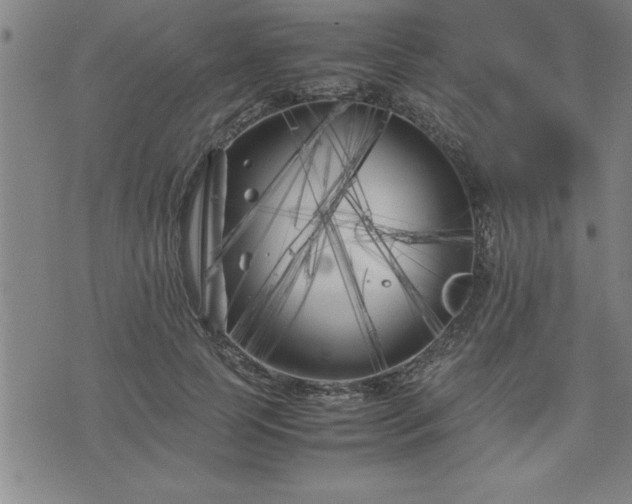 X0000075840745200609221704