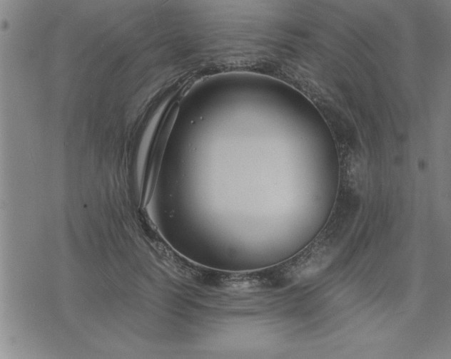 X0000075840746200609221704