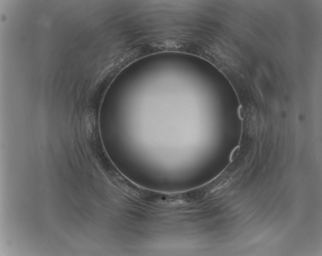 X0000075840747200609221704