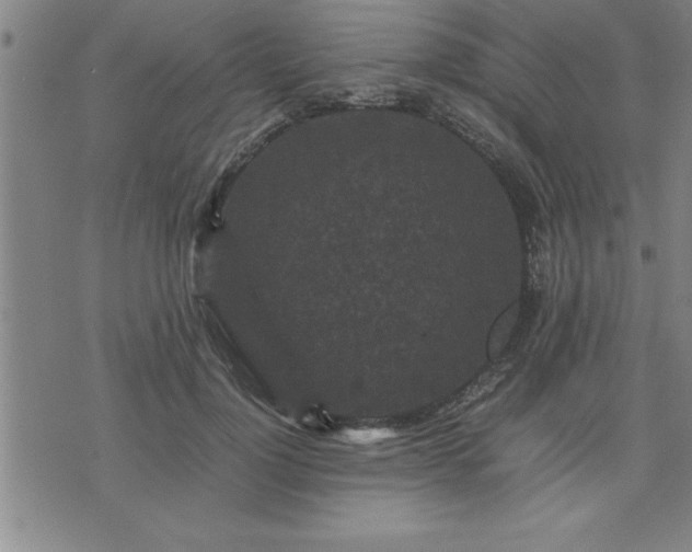 X0000075840748200609221704