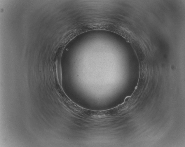 X0000075840749200609221705