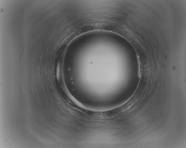 X0000075840750200609221705