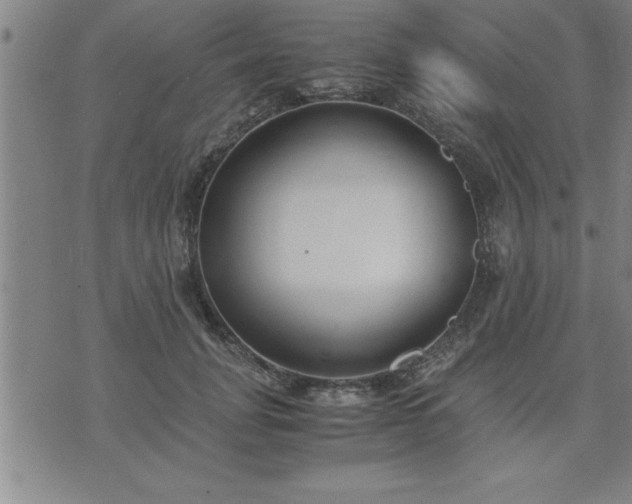 X0000075840751200609221705