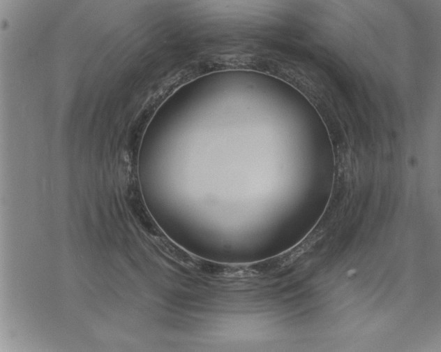 X0000075840752200609221705