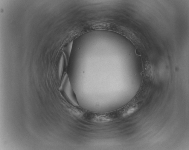 X0000075840753200609221705