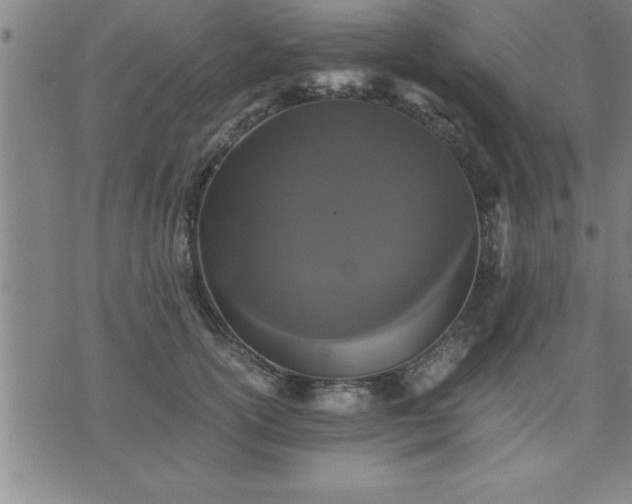 X0000075840754200609221705