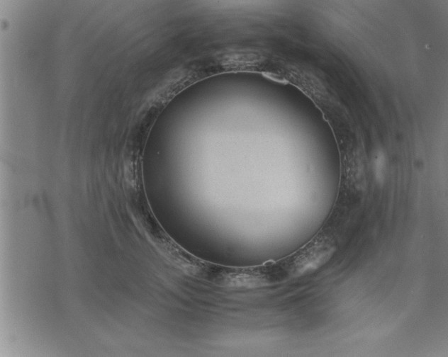 X0000075840755200609221705