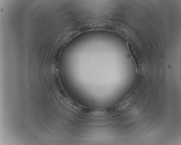 X0000075840756200609221705