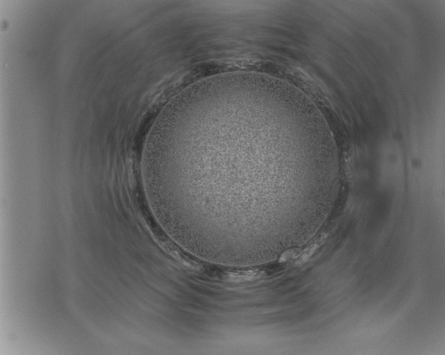 X0000075840757200609221705